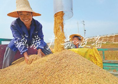 糧食庫存實(shí) 飯碗滾動燈箱端得牢(權(quán)威發(fā)布)